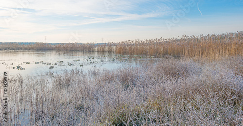 Wallpaper Mural The shore of a frozen lake in sunlight  Torontodigital.ca
