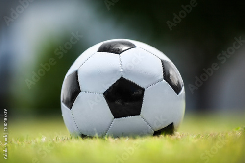 Soccer ball on green lawn © danr13