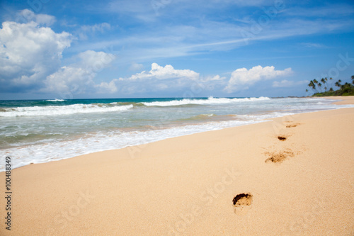 Tropical beach in Sri Lanka © aleksandar kamasi