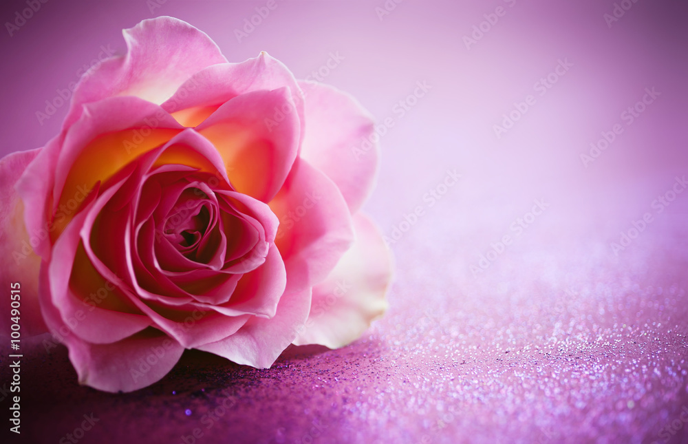 Fototapeta premium Rose