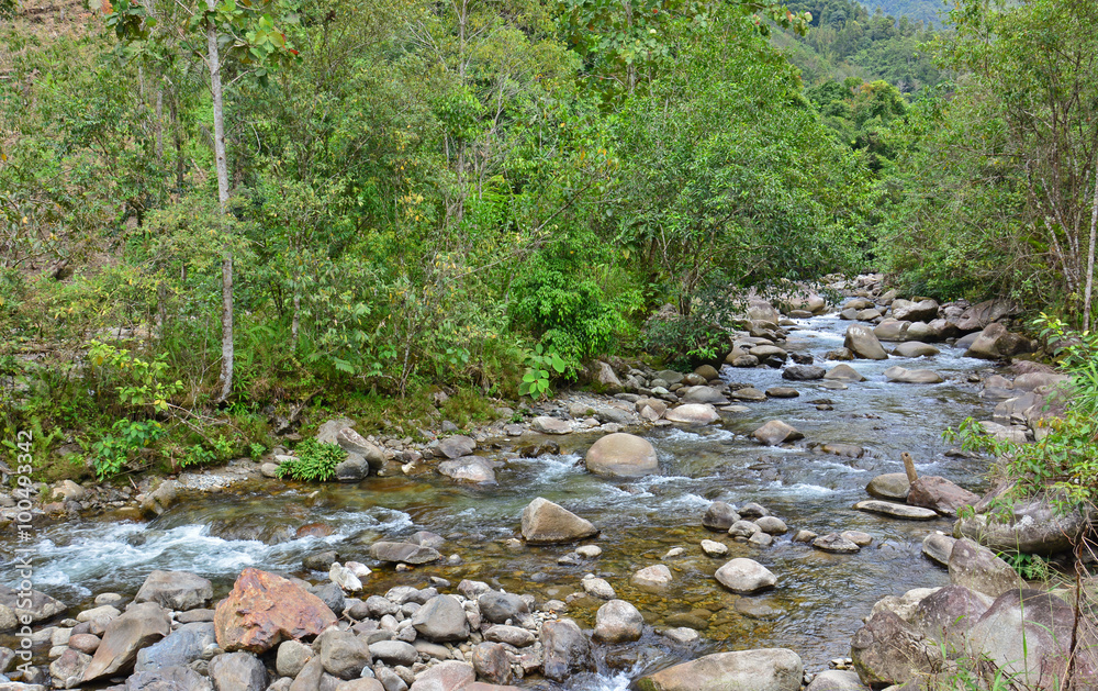 Mountain stream. River in foothill of Mt.KInabalu, Sabah Borneo
