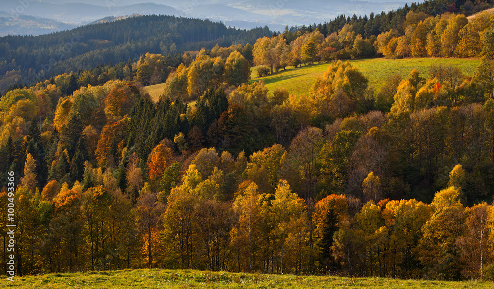 Autumn Landscape in National Park Sumava, Czech republic