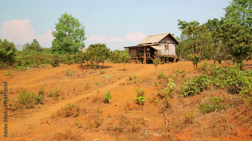 Lao village life around coffee planted Bolaven Plateau, Pakse, Laos Lao village life around coffee planted Bolaven Plateau, Pakse, Laos