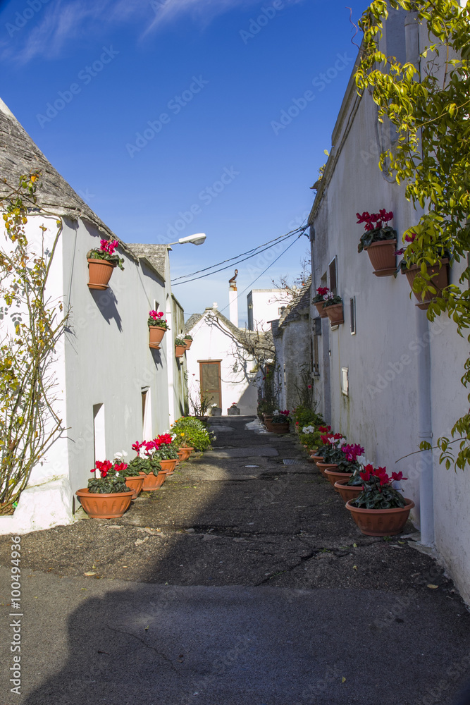 Road flourished in the ancient district of Alberobello.