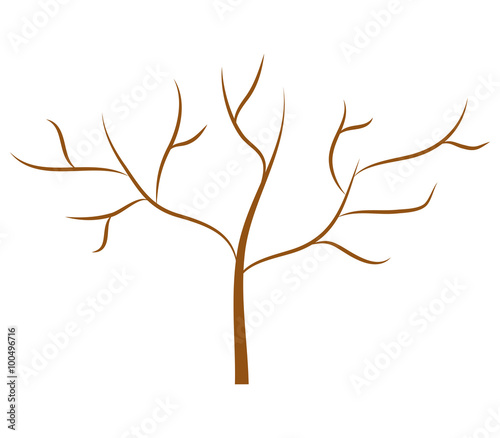 dry tree on white background