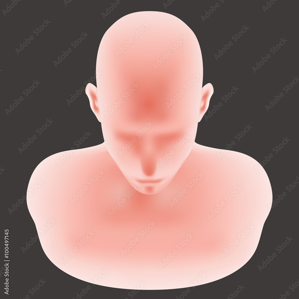 Fototapeta premium human head model, front top view, vector illustration