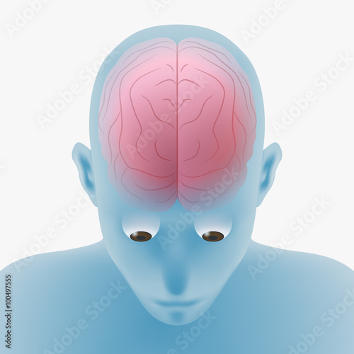 human brain and eyeball, optic nerve, top front view, vector illustration