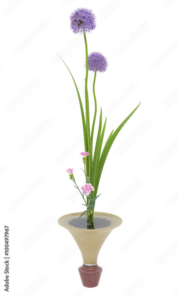 Flower pot with white wall