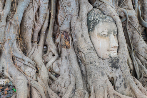 Head Buddha in the tree roots,At Wat Mahathat temple,ayutthaya,thailand