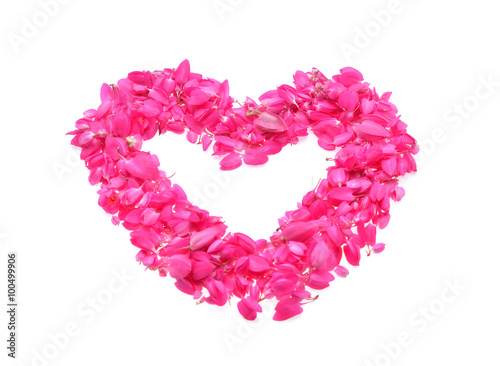  heart flowers isolated on white background,antigonon leptopus