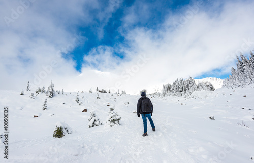 a man stand facing the mountain on a path cover with snow in paradise area,mt Rainier,Washington,Usa.