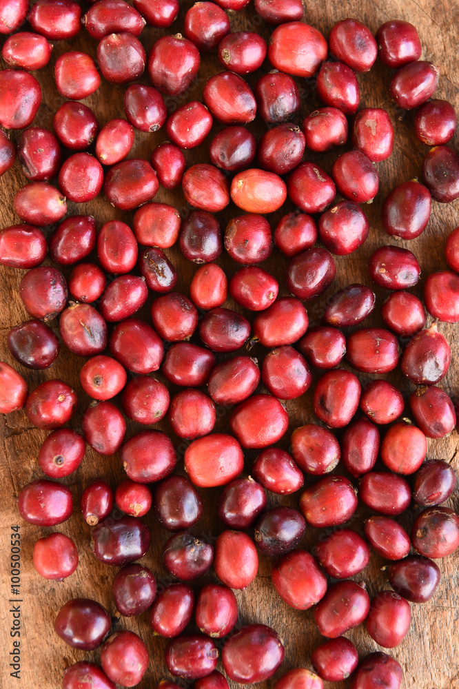 fresh coffee beans before roast. fresh coffee beans before roast.