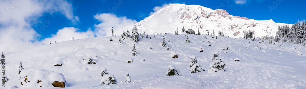 path cover with snow in paradise area,scenic view of mt Rainier