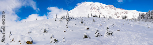 Fototapeta Naklejka Na Ścianę i Meble -  path cover with snow in paradise area,scenic view of mt Rainier