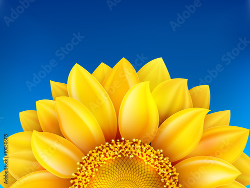 Sunflower and blue sky background. EPS 10