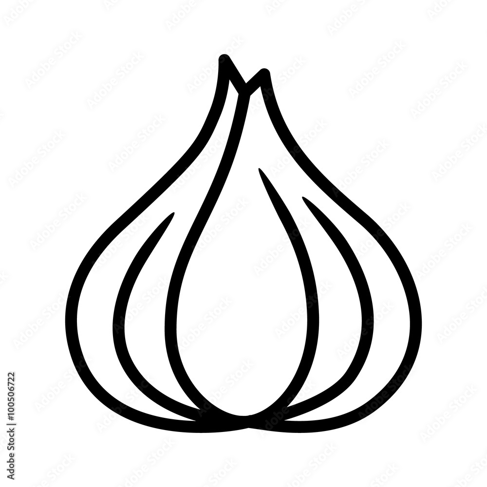 Garlic Line Drawing