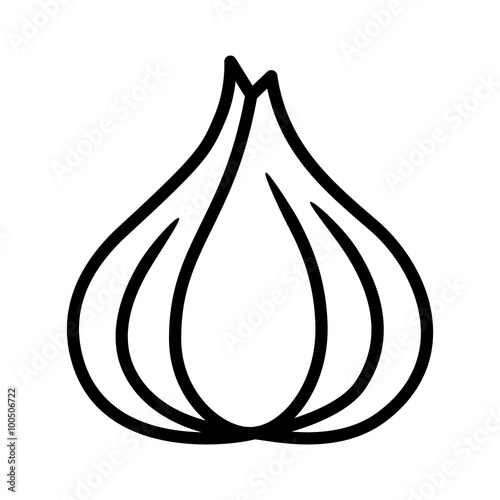 Garlic bulb / allium sativum line art icon for food apps and websites