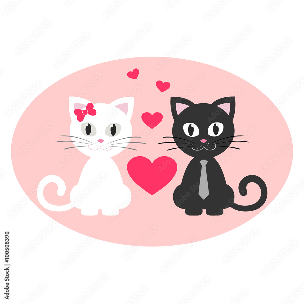romantic cute couple kitten white and black sitting