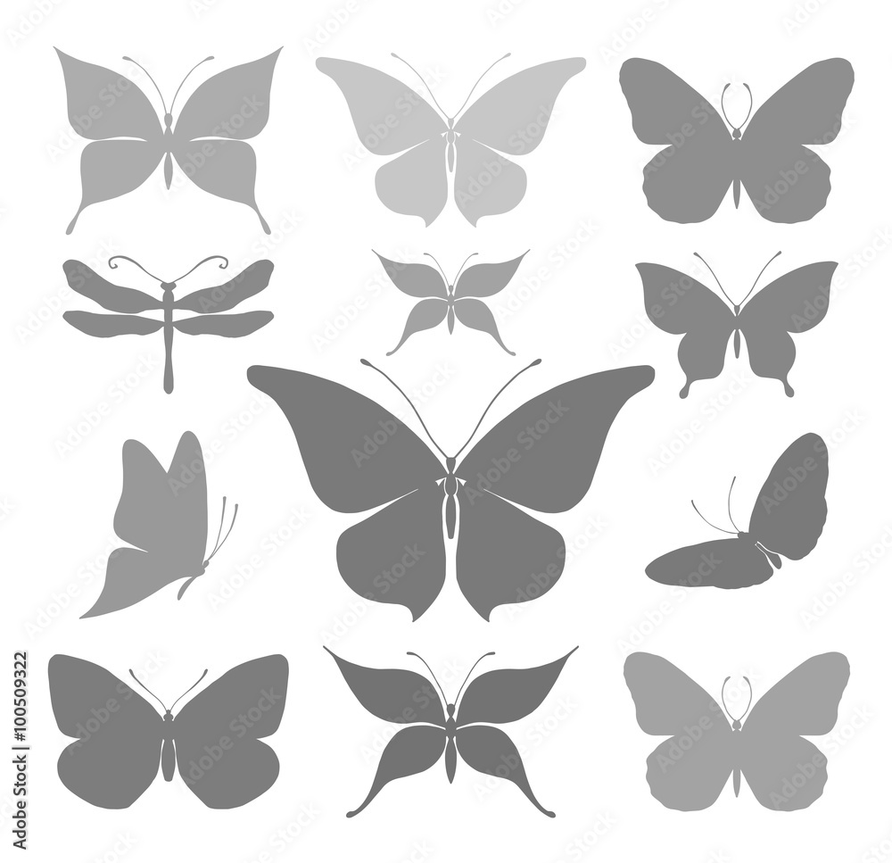 Fototapeta premium Butterflies graphic silhouettes