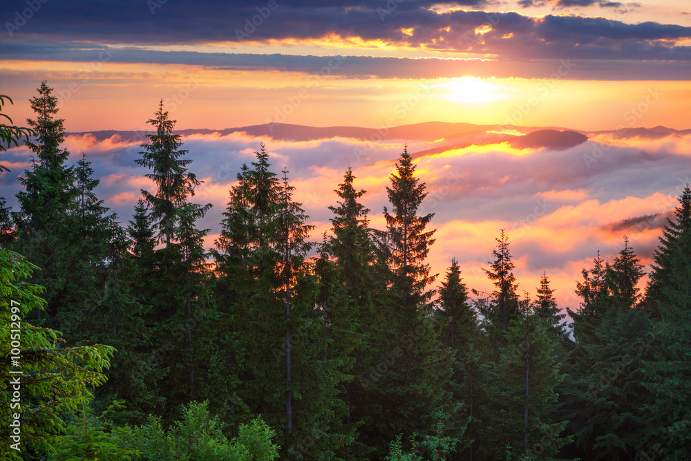 Colorful summer sunrise in the foggy Carpathian mountains. Colorful summer sunrise in the foggy Carpathian mountains.