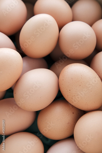 eggs.