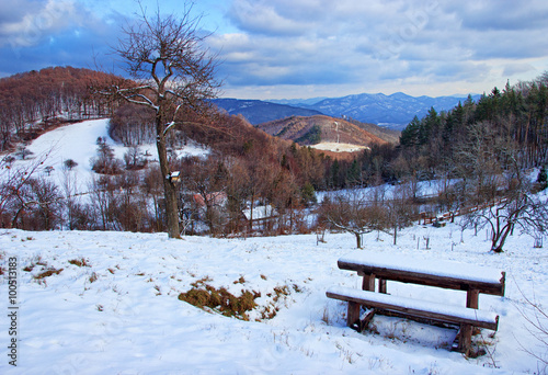 Winter Landscape with Cloudy Sky Scenery