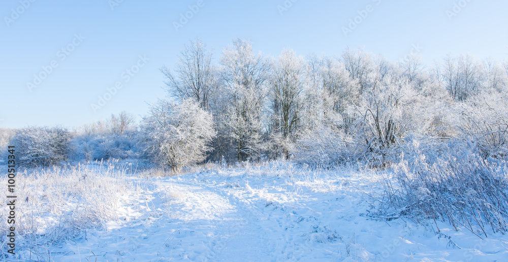 Winter in Denmark Winter in Denmark