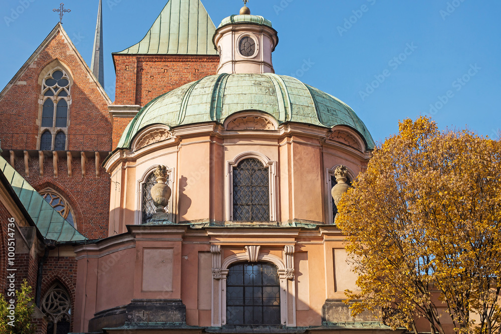Obraz premium Wroclaw. Picturesque view of famous cathedral of St. John on old island Tumski