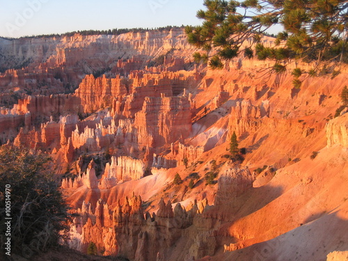 Herrlicher Licheinfall im Bryce Canyon - USA