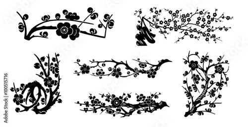 vector cherry flowers collection
