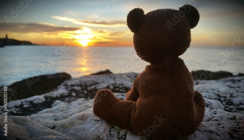 Teddy Bear with sunrise photo