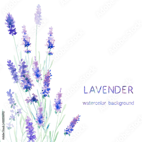 Fototapeta Naklejka Na Ścianę i Meble -  Watecolor lavender card