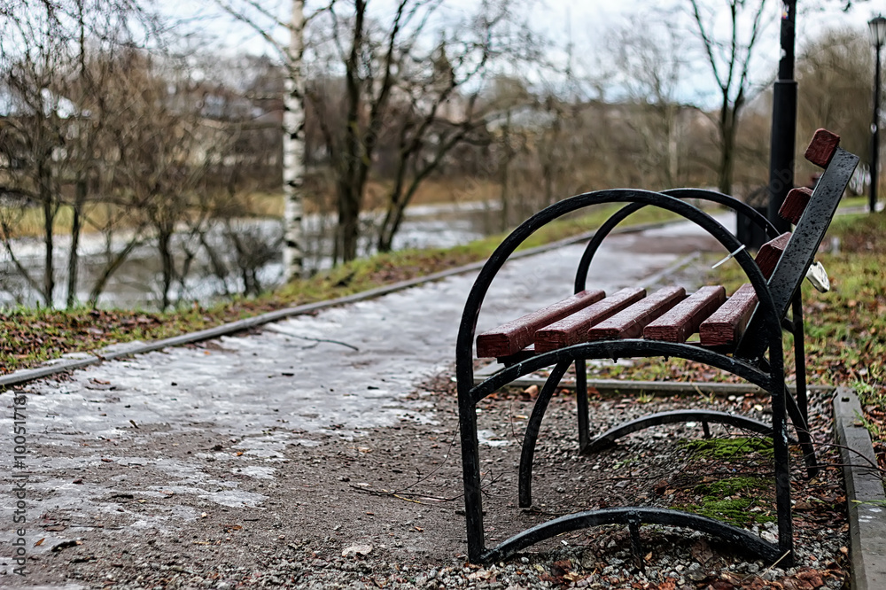 bench in the city in spring bench in the city in spring