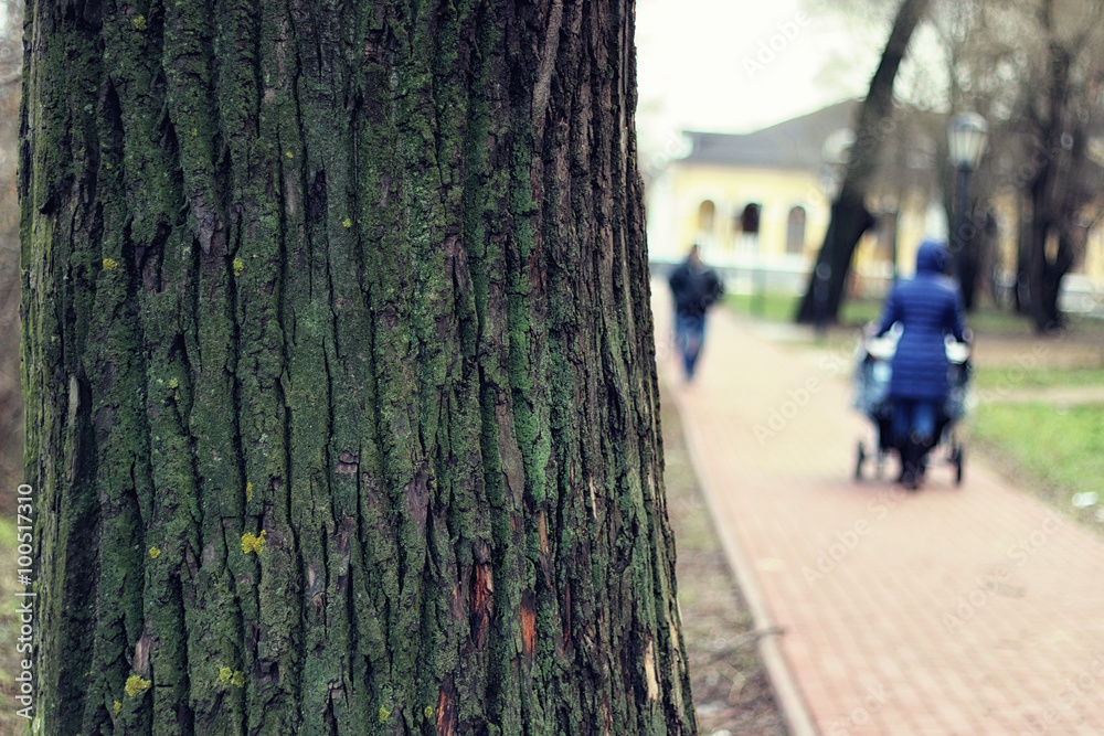 city spring pathway