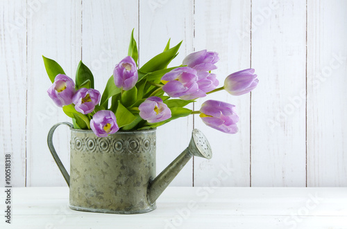Fototapeta Naklejka Na Ścianę i Meble -  Tulpen in Gießkanne