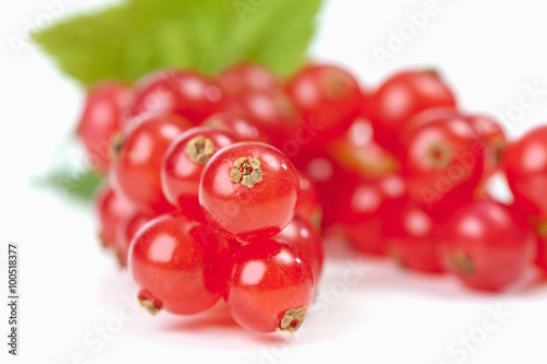 Johannisbeeren auf weissem Untergrund close up
