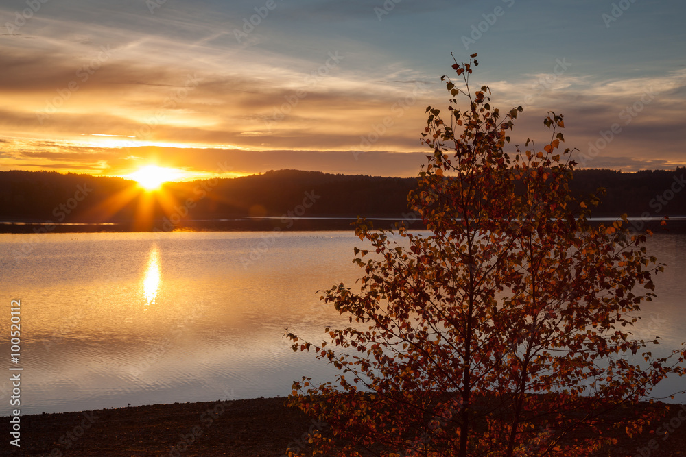 Φωτογραφία Deutschland, Nordrhein-Westfalen, Naturpark Arnsberger Wald, Mö