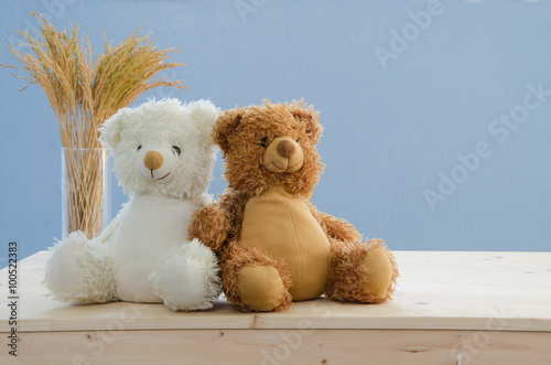sweetheart bears with office desk and blue background.