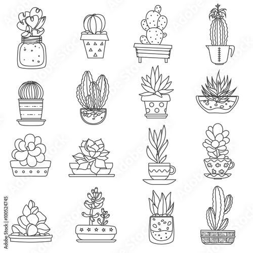 Cactus Line Icons Set 
