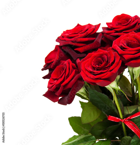 Fresh Red roses