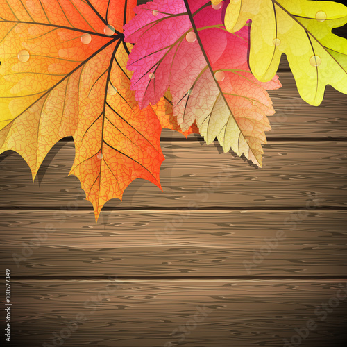 Obraz na plátně Autumn Leaves over wooden background. EPS 10