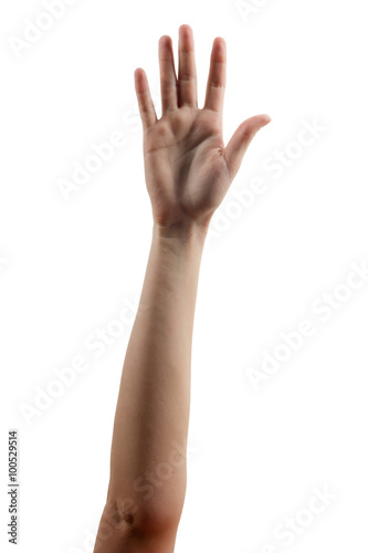 Many people's hands up isolated on white background. Various han