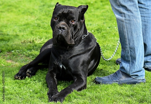 Retwiller photo