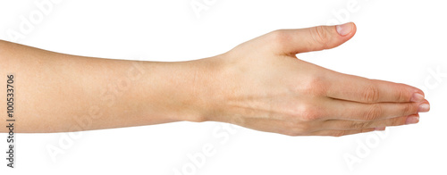 Female hand offering handshake isolated on white background, cop