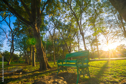 Central park with green park bench light shadow