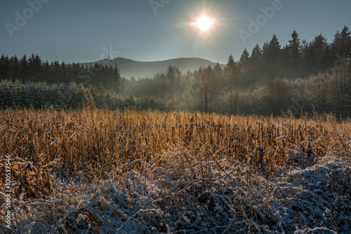 Winter view of mount Sleza, Poland. © cabajero