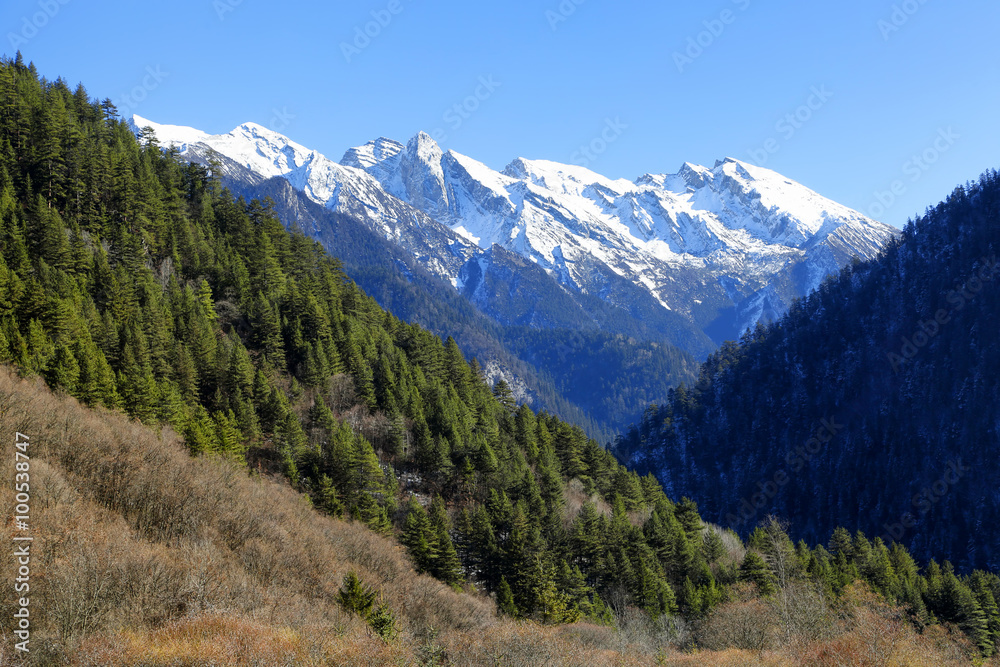 Snow -capped peaks