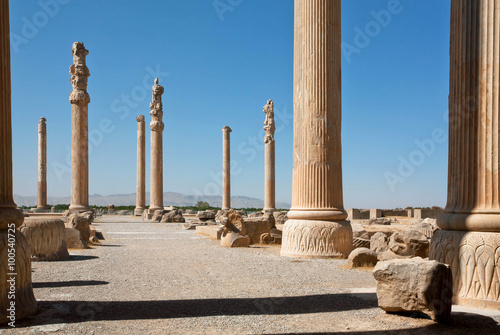 Cuadro en lienzo Tall columns in area of ruined city Persepolis, built in 6th century BC