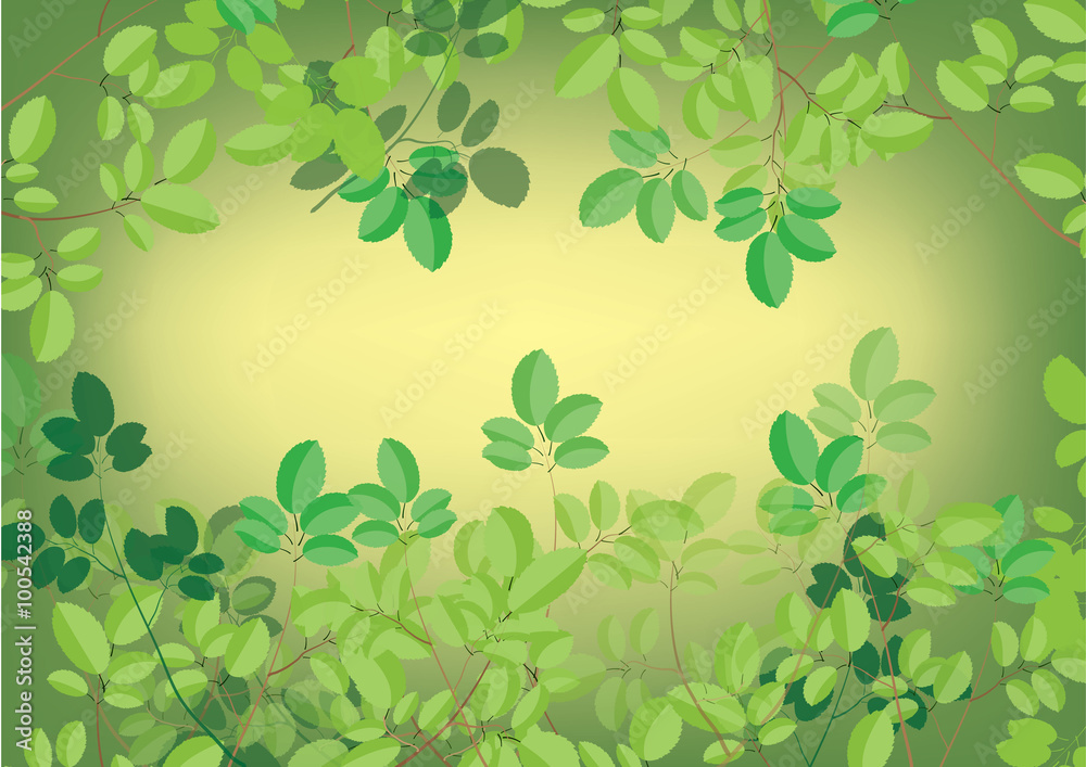 green leaves for background or border 