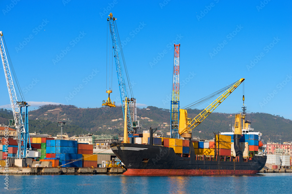 Container Ship in the Harbor / Container ship and crane in the harbor of La Spezia, Liguria, Italy